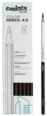 Papelería y librería > Escritura > Lápices de colores 4.0 C/12 UDS 06 MARRÓN 45216/06 CARIOCA