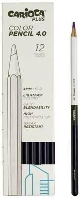 Papelería y librería > Escritura > Lápices de colores 4.0 C/12 UDS 09 VIOLETA 45216/09 CARIOCA