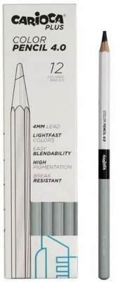 Papelería y librería > Escritura > Lápices de colores 4.0 C/12 UDS 11 GRIS CLARO 45216/11 CARIOCA