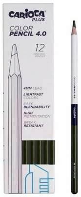 Papelería y librería > Escritura > Lápices de colores 4.0 C/12 UDS 23 VERDE OSCURO 45216/23 CARIOCA